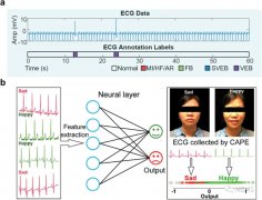 可穿戴皮肤生物信号传感器的发展现状和未来方