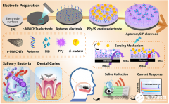 中国科学院长春应用化学研究所：基于双识别元