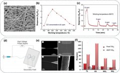 基于静电纺丝纳米纤维的高性能气体传感器综述