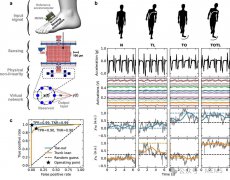 基于可穿戴MEMS加速度计和机器学习的传感器内人