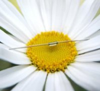 寻找低功耗、宽温域的开关解决方案？Standex El