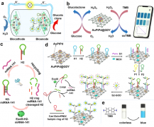 湖南大学/南华大学：研发智能手机介导的“一体