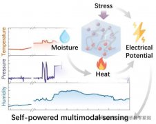 <b>复旦大学：“压电增强热电”离子凝胶及多模态</b>
