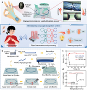 <b>中山大学：基于定制裂纹设计的超灵敏透气水凝</b>