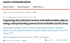 <b>上海交大团队发表MEMS视触觉融合多模态人机交互</b>