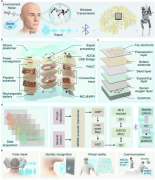 重庆大学:研究用于语音识别和交互的机器学习辅