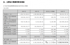 赛微电子：2024年营收超12亿元，MEMS代工业务同比
