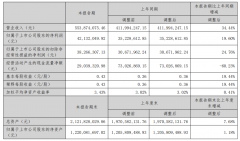安培龙同比增长34.44%，国产传感器公司安培龙公
