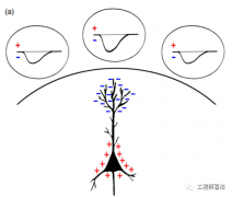 探秘采集脑电波