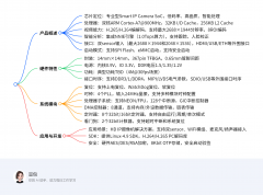 Hi3516DV300产品介绍和开发手册下载