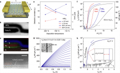 单层二硫化钼低功耗柔性集成电路兼具高性能和
