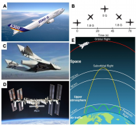 微重力下3D组织结构的生物制造及其在人体病理生