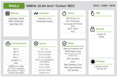 RA2L2#48MHz Arm Cortex-M23 入门级 USB 通用微控制器