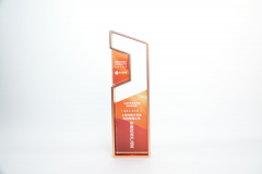 HPM6E8Y斩获“年度优秀AI芯片奖”，国产高