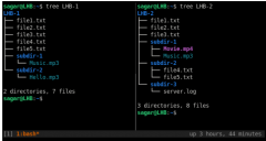 Linux中如何比较两个文件的差异？