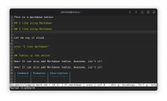 Micro是一个使用Go语言开发的现代的基于终端的开