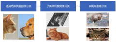 一篇看懂图像分类基础知识