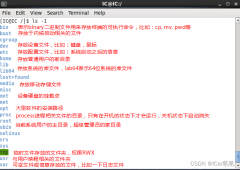 VI编辑器及常用命令
