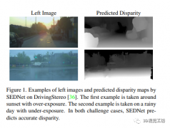 SEDNet：视差和不确定性联合评估的新方法