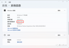 WSL2中使用USB串口