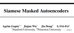 李飞飞团队新作SiamMAE：孪生掩码自编码器，刷榜