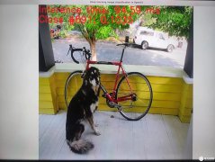 NPU和CPU对比运行速度有何不同？基于i.MX 8M Plus处