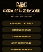 嘉楠科技荣登中国AI芯片企业50强 高性能图像处理