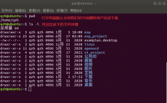 嵌入式Linux入门（二、Linux文件系统、文件类型及