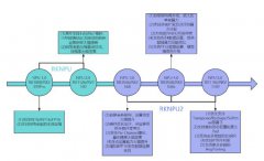 迅为视频教程 | RKNPU2 从入门到实践一套搞定！