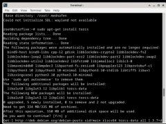 【昉·星光 2（VisionFive 2）RISC-V单板计算机】尝试