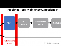 在这个项目中，将在线和离线TSM网络部署到FPGA，