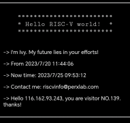 RISC-V公测平台发布·第一个WEB Server“Hello RISC-V