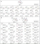 弱相互作用对有机光电性质调控的理论研究