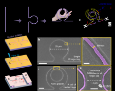 南京大学在微纳仿生机械手设计及操控方面取得