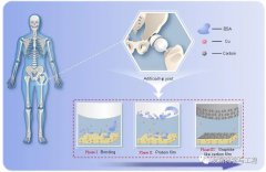 体内磨损自润滑有望进一步延长薄膜在体内的服