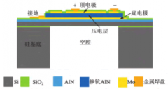 基于Al0.8Sc0.2N压电薄膜的MEMS声波器件芯片