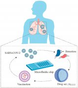 微流控技术在新冠肺炎诊断和药物研发中的应用