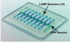 介绍一种高灵敏度多靶标核酸检测微流控芯片