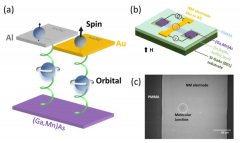 半导体所等在手性分子产生自旋极化研究的进展