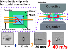 微流控芯片+光学时域拉伸成像系统实现高通量细