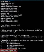 信息安全管理必备！Linux系统使用SSH登录root账号