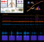 用于聆听身体的声音的可穿戴压电式柔性传感贴
