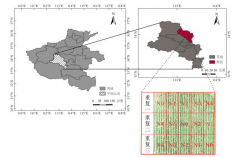基于无人机高光谱遥感的烤烟叶片叶绿素含量估