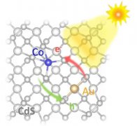 <b>反向电子转移！双-单原子催化剂助力CO2光还原</b>