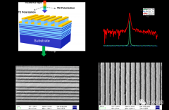 一种可片上集成的高性能中红外光谱与偏振分光