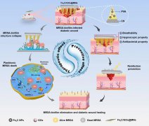用于生物膜感染糖尿病伤口愈合的防治一体化纳