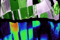 光谱成像检验技术