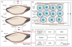 一种基于柔性生物阻抗电极的传感器系统设计