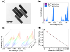 基于铥离子掺杂上转换纳米颗粒的水分子传感探