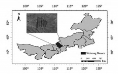基于无人机高光谱荒漠草原鼠洞识别方法研究